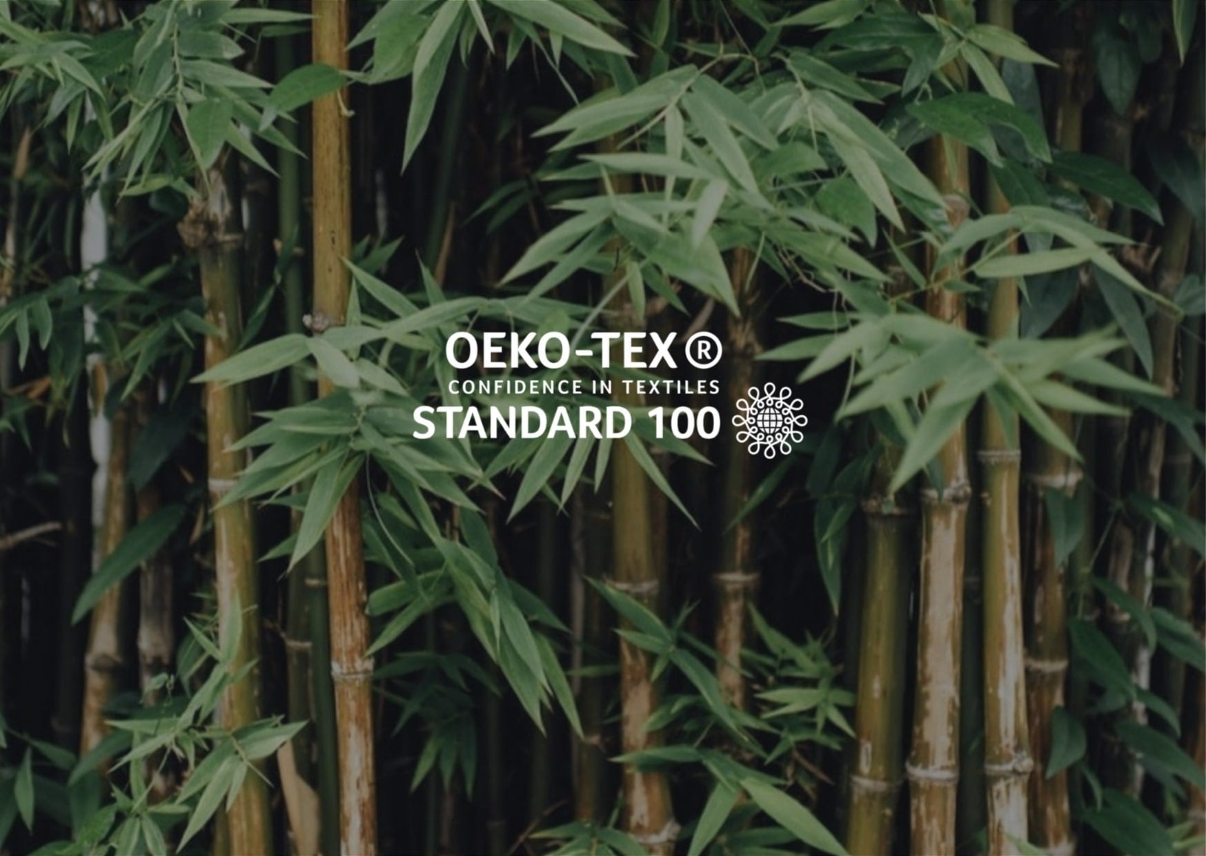 Bamboo plants with OEKO-TEX Standard 100 logo overlay